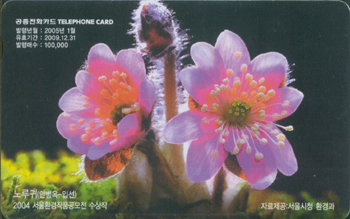 675-MO0501006-����