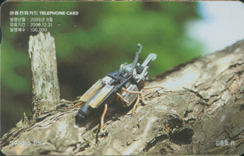 707-MO0506038-����ϴü� �ѽ�