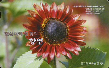 719-MO0508050-5-��Ⱑ �帣�� �� 2