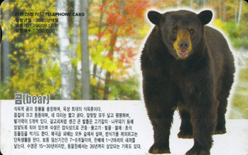 736-MO0511067-��(Bear)