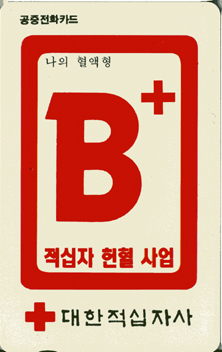 ����-C94101798-���� ������ B+