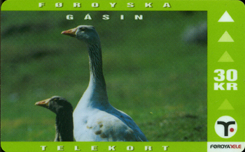 FAR-D-23-30Kr-Geese(ȭ�μ�-����ũ��)