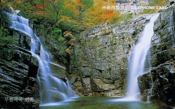 MC01D00322-0-������� ����(�����-VF-��ǰ)