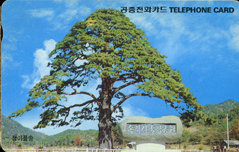 R020-09206208-3-����ǰ��(���)-�����-VF-��ǰ