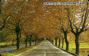 R058-09307216-3-û�� ���Է�(���)�ڽ�-(�����/VF/��ǰ)