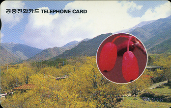 R121-O9502204-3-���� �����(����)-(�����/VF/��ǰ)