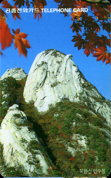 R145-O9508228-3-���ѻ� �μ���(����)-(�����/VF/��ǰ)