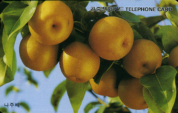 R203-O9608237-3-���ֹ�(����)-(�����/VF/��ǰ)