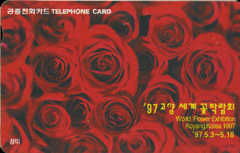 R237-O9704215-5-���缼��ɹڶ�ȸ���(���)-(�����/VF/��ǰ)