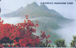 R263-O9802214-5-���� ������ ��ǳ(�泲)-(�����/VF/��ǰ)