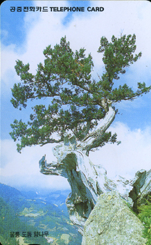 R277-O9902205-3-�︪���� �⳪��(�뱸)-(�����/VF/��ǰ)