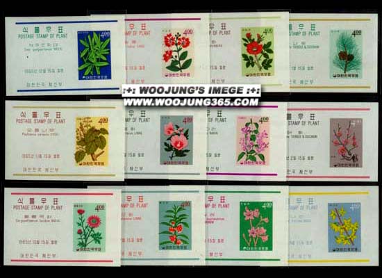 1965/ �Ĺ��ø���12�� S/S