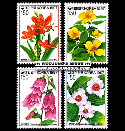 1997/ �߻�ȭ�ø��� ��8�� 4��