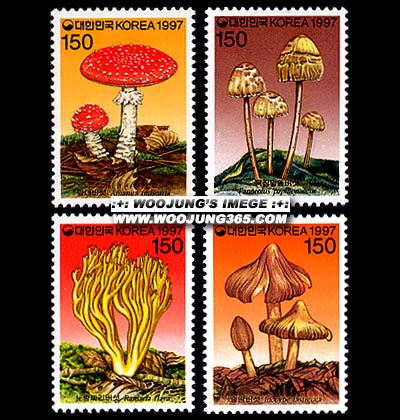 1997/ �����ø��� ��5�� 4��