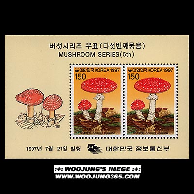 1997/ �����ø��� ��5�� 4�� S/S