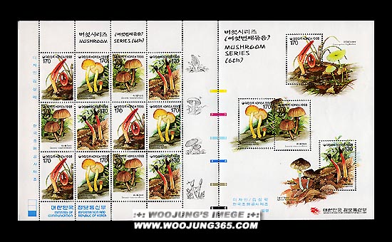 1998/ �����ø��� ��6�� ����