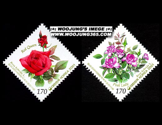 2001/ �ʶ��ڸ��� 2002 �����ǥ����ȸ 2��