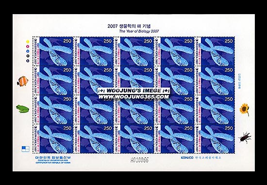 2007/ 2007 �������� �� ����