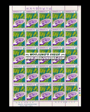 1981/ ���� �ķ��� �� ����